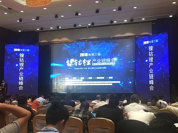 91麻豆精品国产91久久久久久风采-镍钴锂行业会场